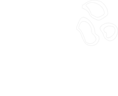 Trigger Point Therapy